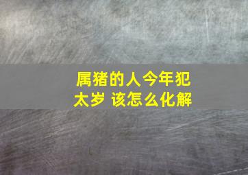 属猪的人今年犯太岁 该怎么化解